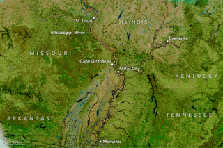 Illustration for article titled This Is What the Historic Flooding of the Mississippi River Looks Like